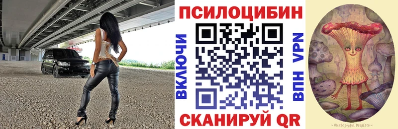MEGA ТОР Сысерть Псилоцибиновые грибы прущие грибы